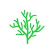 Ícone do programa: 年轮3 - 艾宾浩斯高效规划记忆
