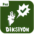 Icon of program: Diksiyon Pro