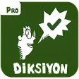 Diksiyon Pro