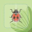Insect Identifier Bug ID icon