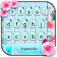 程序图标：Vintage Roses Keyboard Th…