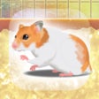 أيقونة البرنامج: Hamster Pet