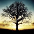 أيقونة البرنامج: Daily Quotes - Art of Liv…
