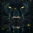 プログラムのアイコン：Panther Wallpapers