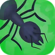 Ant Colony - Ant Simulation
