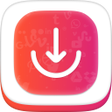 程序图标：Video Downloader