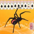 Spider Solitaire  More