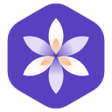 Иконка программы: LAPLACE Login Sync