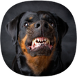 プログラムのアイコン：Barking Dog Ringtones