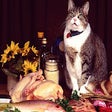 Ícone do programa: Funny Cats Puzzle