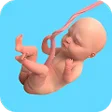 プログラムのアイコン：Pregnant Mother Family Ga…