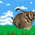 Иконка программы: Floppa Running