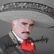 プログラムのアイコン：Vicente Fernanadez Cancio…