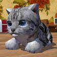 Icoon van programma: Cute Pocket Cat 3D