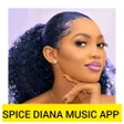 Ikon program: Spice Diana Songs
