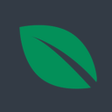 程序图标：leafsystems