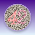 Иконка программы: Color Blindness Checker