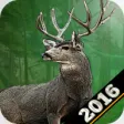 Deer Hunting 2017 Wild Animal Sniper Hunter Game