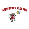 プログラムのアイコン：Squeeky Clean Car Wash