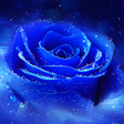 Icono de programa: 3D Rose Live Wallpaper