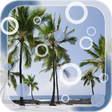Icon of program: Beach Palms Live Wallpape…