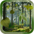 ไอคอนของโปรแกรม: Forest Live Wallpaper