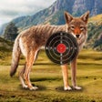 程序图标：Coyote Target Shooting