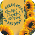 Programın simgesi: Thanksgiving Wishes