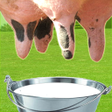 Ícone do programa: Farm Milk The Cow