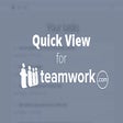 程序图标：Teamwork PM Quick View