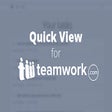 Teamwork PM Quick View