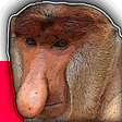 程序图标：Janusz Soundboard