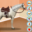 Icon of program: Santa Horse Caring