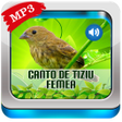 プログラムのアイコン：Canto De Tiziu Fêmea