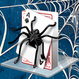 Icon of program: Spider Solitaire Deluxe H…