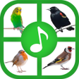プログラムのアイコン：Birds Sounds And Ringtone…