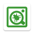Symbol des Programms: SPIDTECH