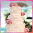 プログラムのアイコン：Wedding Cake Design Ideas