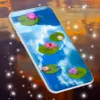 Water Lily Live Wallpaper