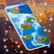 プログラムのアイコン：Water Lily Live Wallpaper