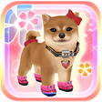 Ikon program: My Dog My Style