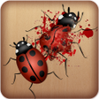 程序图标：Ladybug Smasher Game