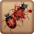 Ladybug Smasher Game