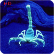 أيقونة البرنامج: Scorpion Hd Wallpaper