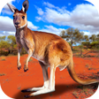 Ícone do programa: Kangaroo Family Simulator…