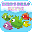 Ícone do programa: Birds Drag Hatch