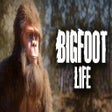 Ícone do programa: Bigfoot Life