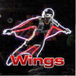 程序图标：Dive Wings