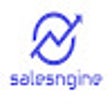 Icon of program: Salesngine chrome