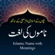 プログラムのアイコン：Islamic Name With Meaning…